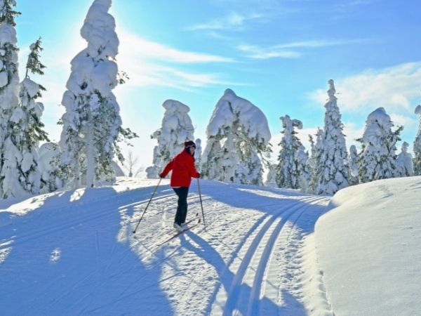 Jak korzystać z narciarstwa biegowego, aby zachować formę?